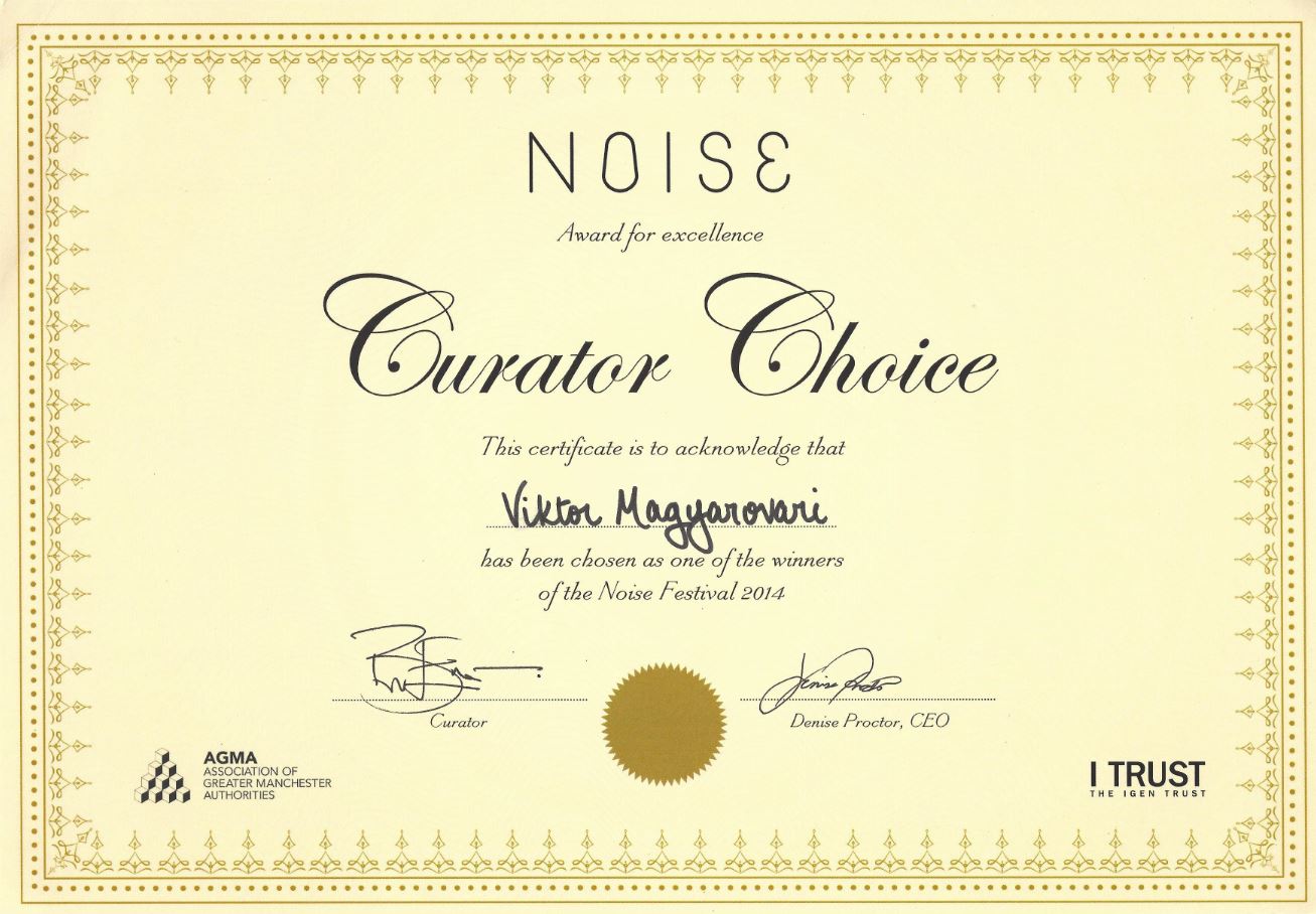noise festival certificate
